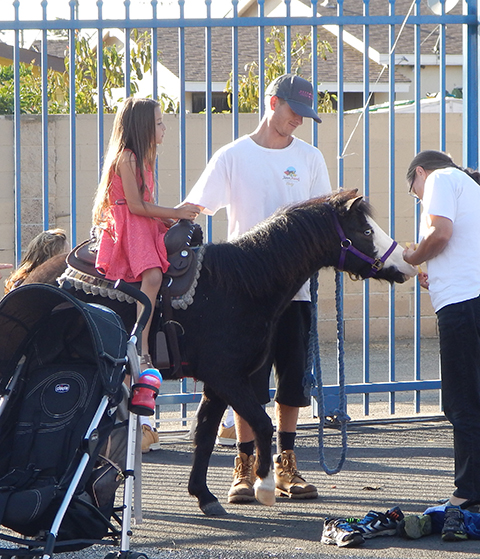 Los Angeles Pony Rides